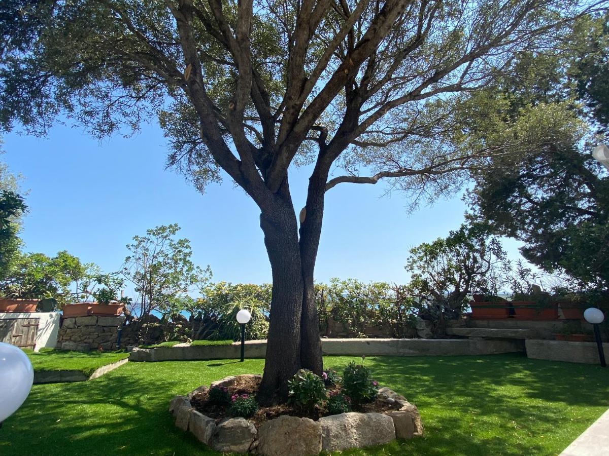 La Casa Sull'Acqua Villa ออลเบีย ภายนอก รูปภาพ