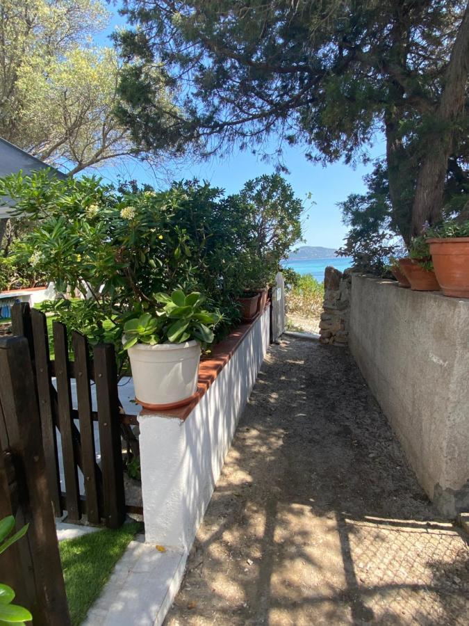 La Casa Sull'Acqua Villa ออลเบีย ภายนอก รูปภาพ